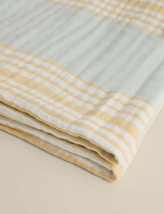 כרבולית פסים גדולה מכותנה טהורה