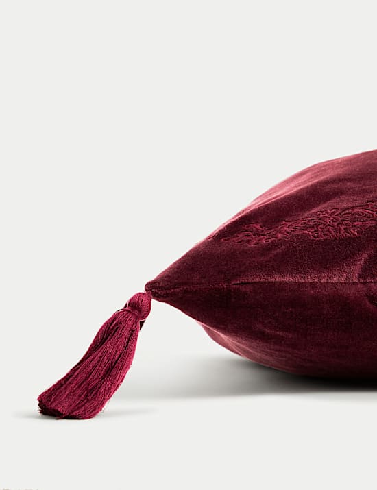 Velvet Tasselled Cushion