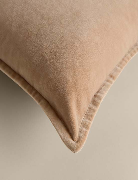 Coj&iacute;n 100 % algod&oacute;n de terciopelo