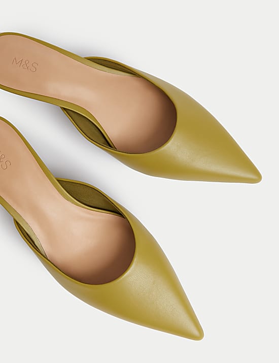 Slip On Kitten Heel Pointed Mules