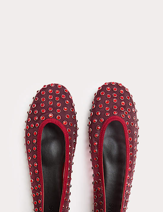 Gem Studded Flat Ballet Pumps