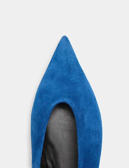 Suede Pointed Toe Ballet Pump