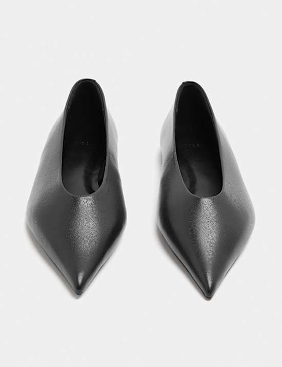 Leather Pointed Toe Ballet Pump