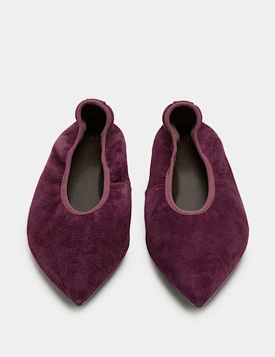 Suede Flat Pointed Toe Ballet Pumps