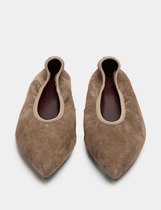 Suede Flat Pointed Toe Ballet Pumps