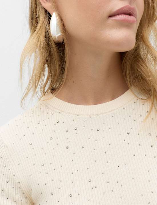 Rayon Rich Embellished Crew Neck Fitted Jumper