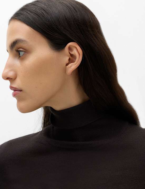 Pure Merino Wool Roll Neck Jumper