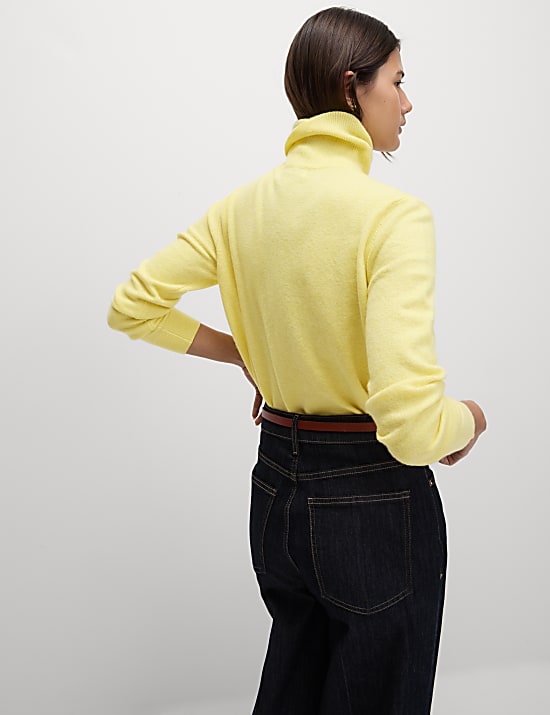 Pull en maille l&eacute;g&egrave;re &agrave; col roul&eacute;