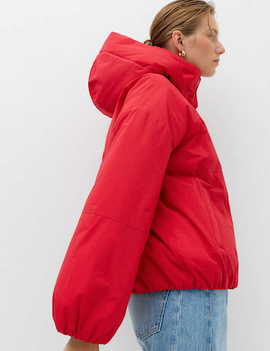 Padded Thermowarmth Hooded Jacket