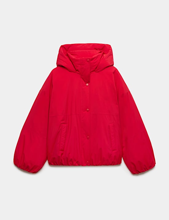 Padded Thermowarmth Hooded Jacket