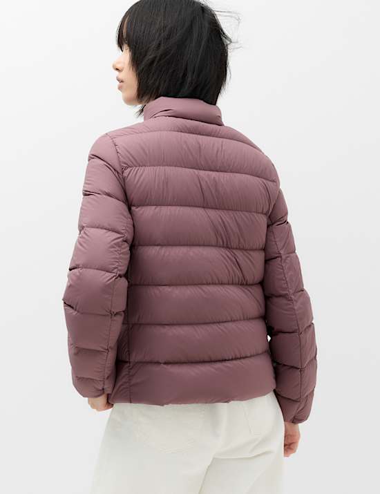 Wattierte Steppjacke mit Feder- und Daunenf&uuml;llung