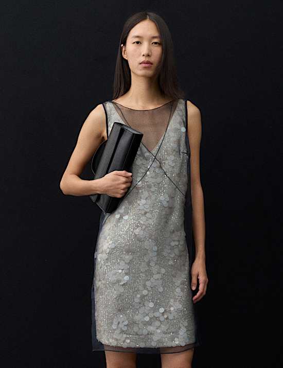 Pure Silk Organza Sequin Overlay Mini Dress