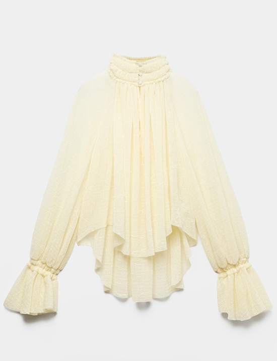 Sheer Pleated High Neck Blouse