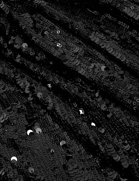 Tailored Sequin Single Breasted Blazer