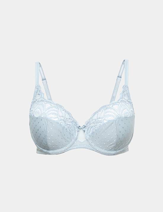 Amelia Lace Wired Full Cup Bra A-E