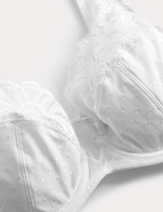 Amelia Lace Wired Full Cup Bra A-E