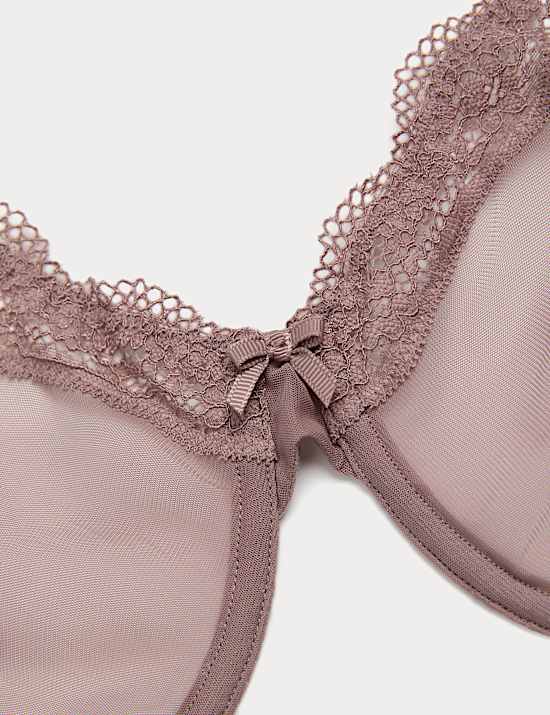 Jasmine Lace Sheer Wired Full Cup Bra (F-H)