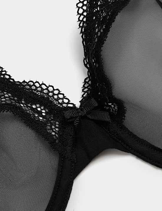 Jasmine Lace Sheer Wired Full Cup Bra (F-H)