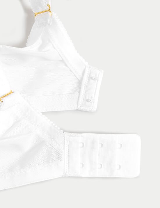 Daisy Embroidery Wired Plunge Bra F-H