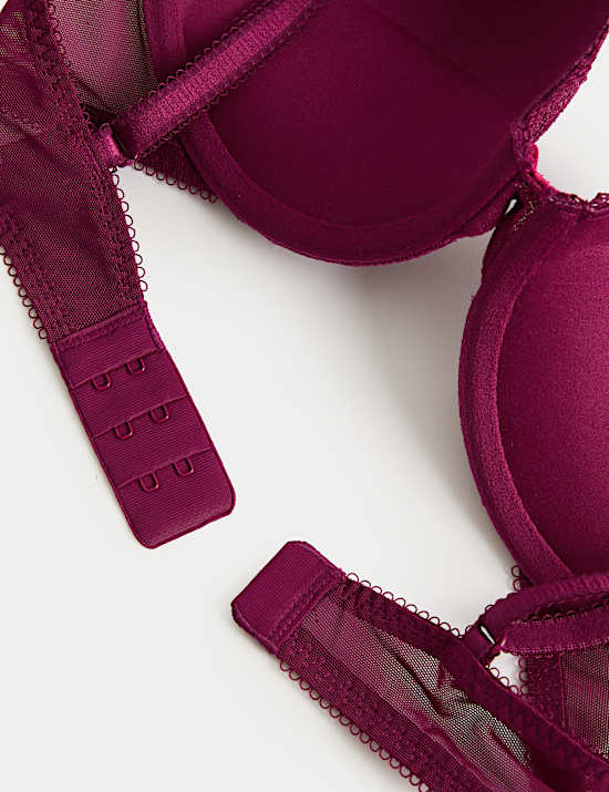 Jasmine Lace Wired Push Up Plunge Bra (A-E)