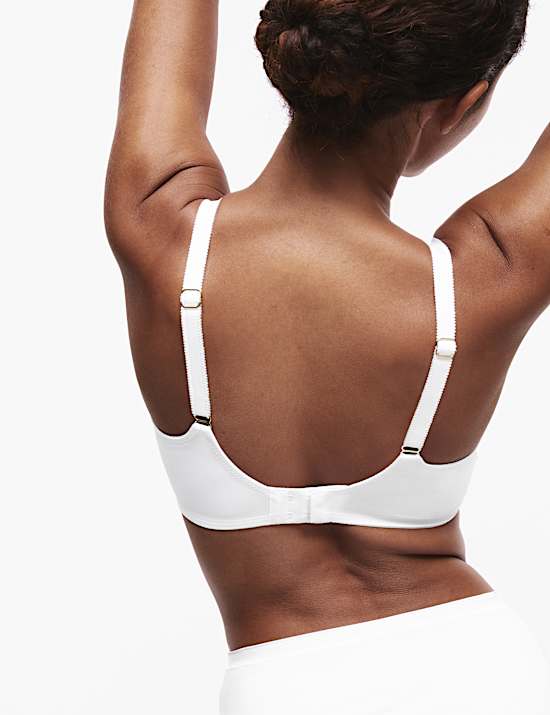 Amelia Lace Non Wired Full Cup Bra (A-E)