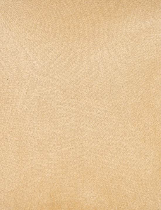 5pk 10 Denier Tights