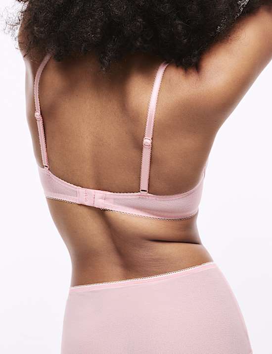 3pk Jasmine Lace Full Briefs