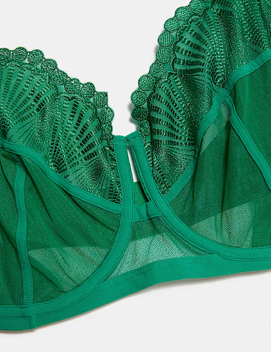 Leon Embroidery Wired Full Cup Bra (F-H)