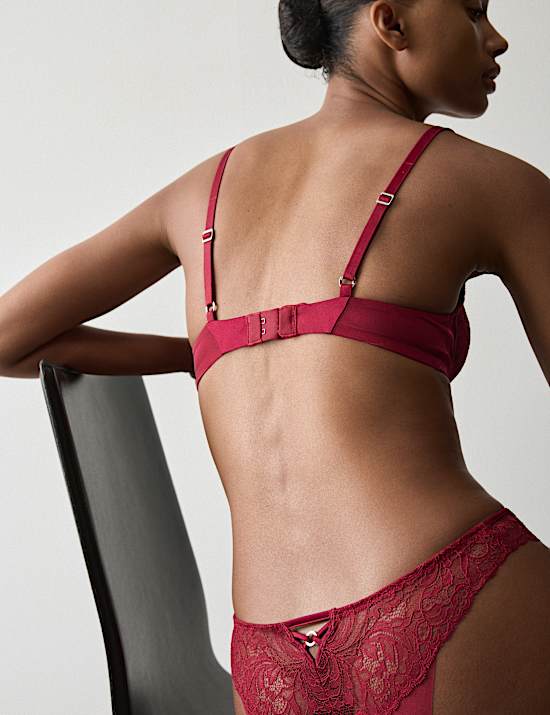 Lace with Silk Wired Plunge Bra A-E