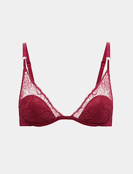 Lace with Silk Wired Plunge Bra A-E
