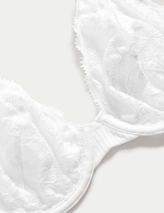 Lace Wired Plunge Bra (A-E)