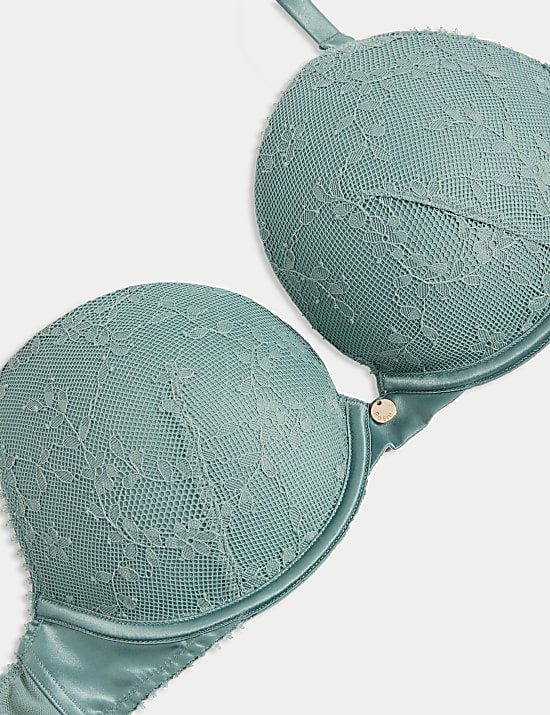 Rosa Lace Wired Push-Up Plunge Bra A-E