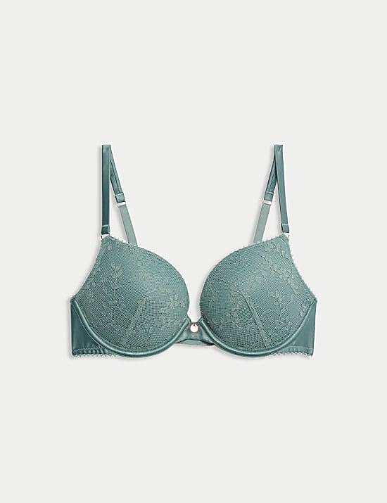 Rosa Lace Wired Push-Up Plunge Bra A-E