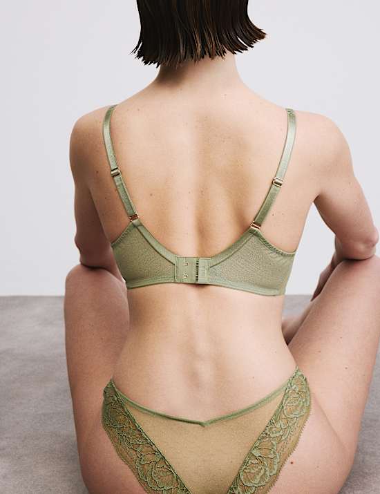 Silk & Lace Wired Plunge Bra (F-H)