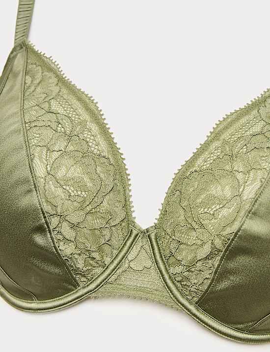 Silk & Lace Wired Plunge Bra (F-H)