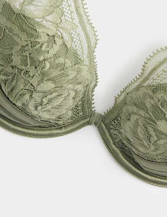 Silk & Lace Wired Plunge Bra A-E