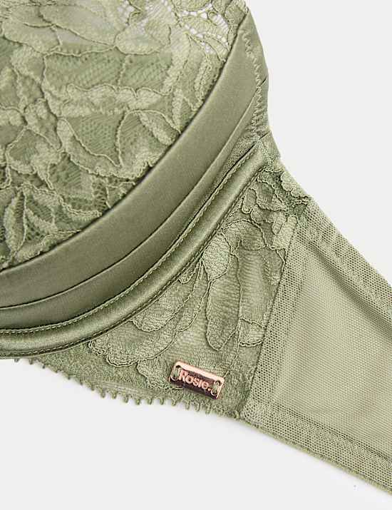 Silk & Lace Wired Plunge Bra A-E