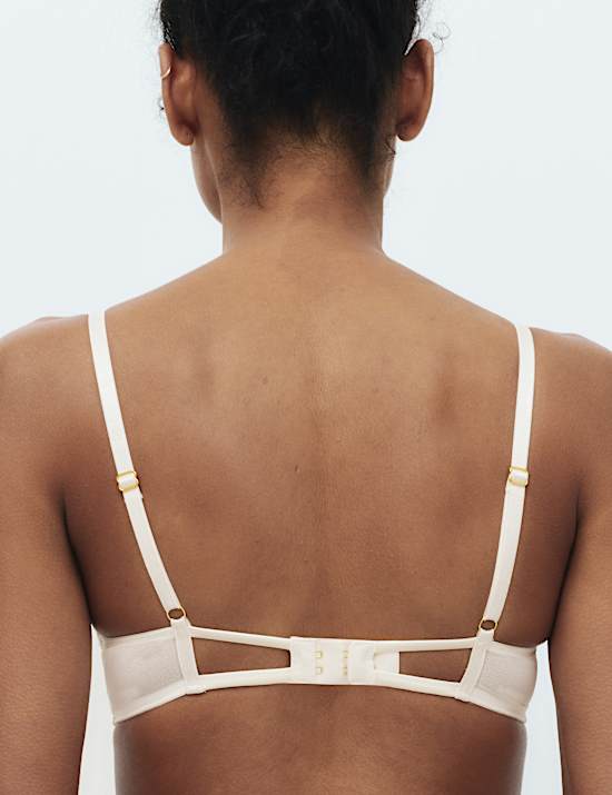 Lace Double Boost Push-Up Plunge Bra (A-D)