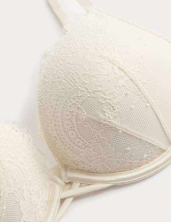 Lace Double Boost Push-Up Plunge Bra (A-D)