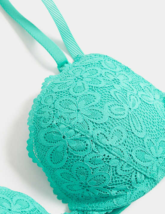 Cleo Lace Wired Push Up Plunge Bra A-E