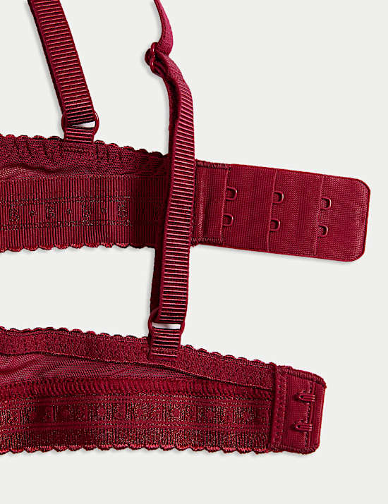 Cleo Lace Wired Push-Up Plunge Bra (A-E)