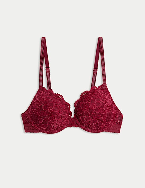 Cleo Lace Wired Push-Up Plunge Bra (A-E)