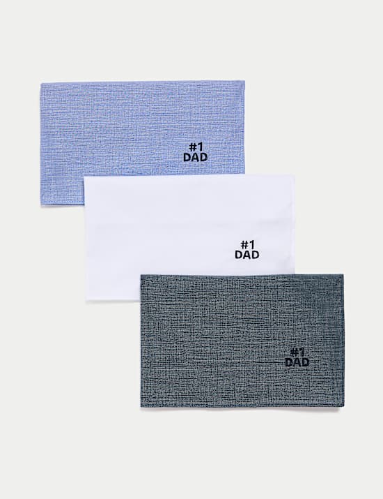 3pk Antibacterial Pure Cotton Handkerchiefs