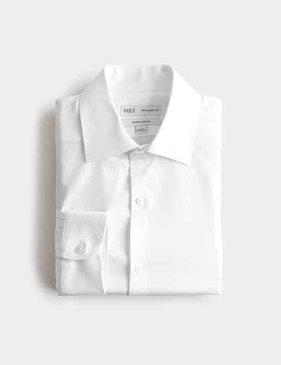 Regular Fit Pure Cotton Shirt
