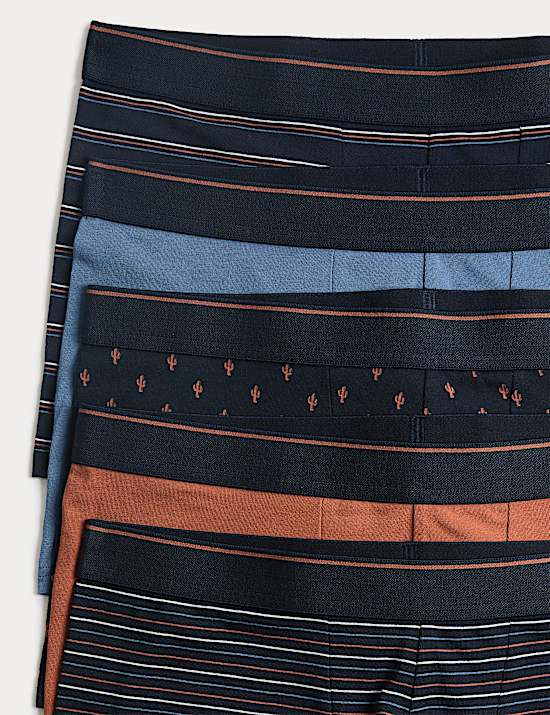 Lot de 5 boxers en coton extensible &agrave; motif cactus