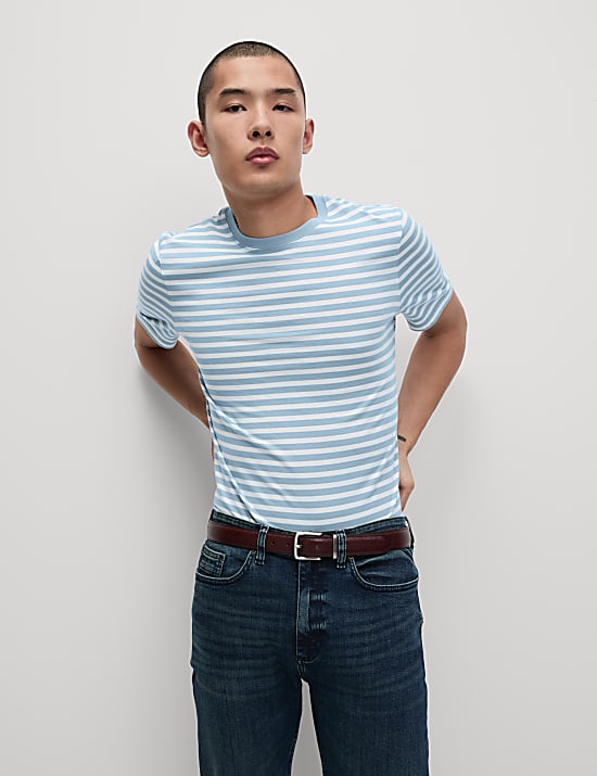 Regular Fit Crew Neck Striped T-Shirt