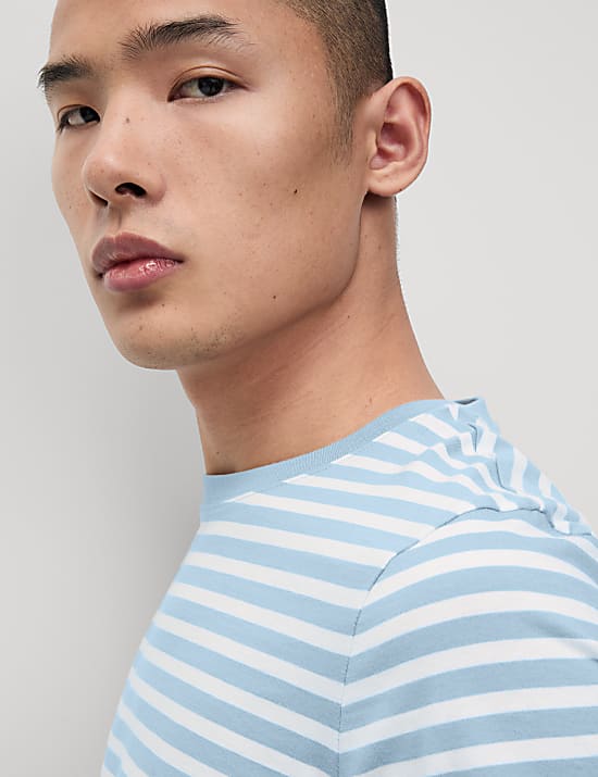 Regular Fit Crew Neck Striped T-Shirt