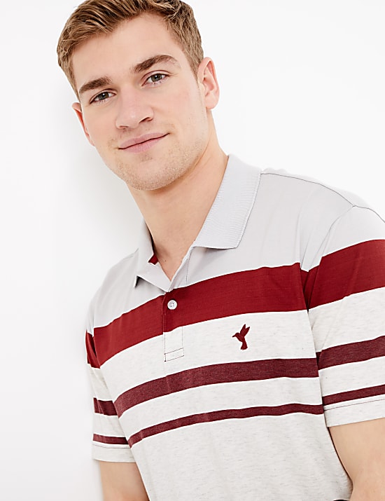 Cotton Striped Polo Shirt
