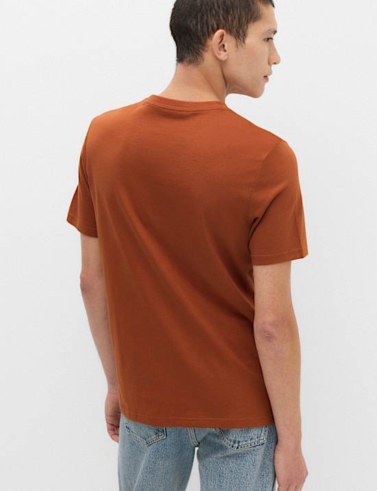 Camiseta 100 % algod&oacute;n de corte est&aacute;ndar con cuello redondo