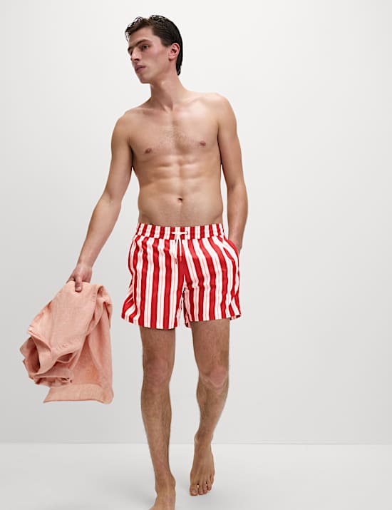 Quick Dry Deckchair Striped Swim Shorts